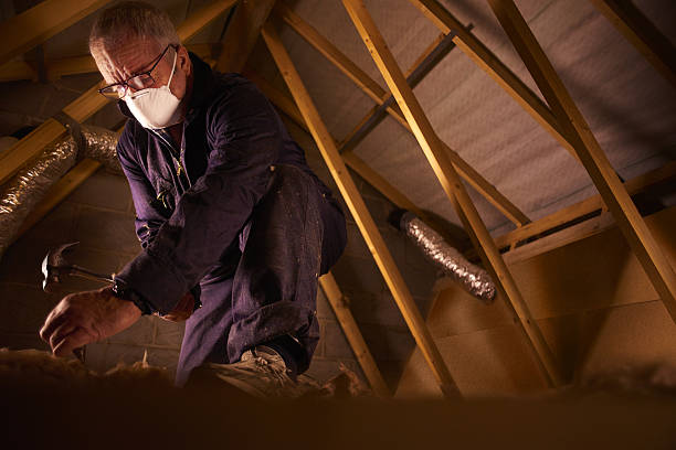Best Energy Efficiency Solutions in Rutherford, PA